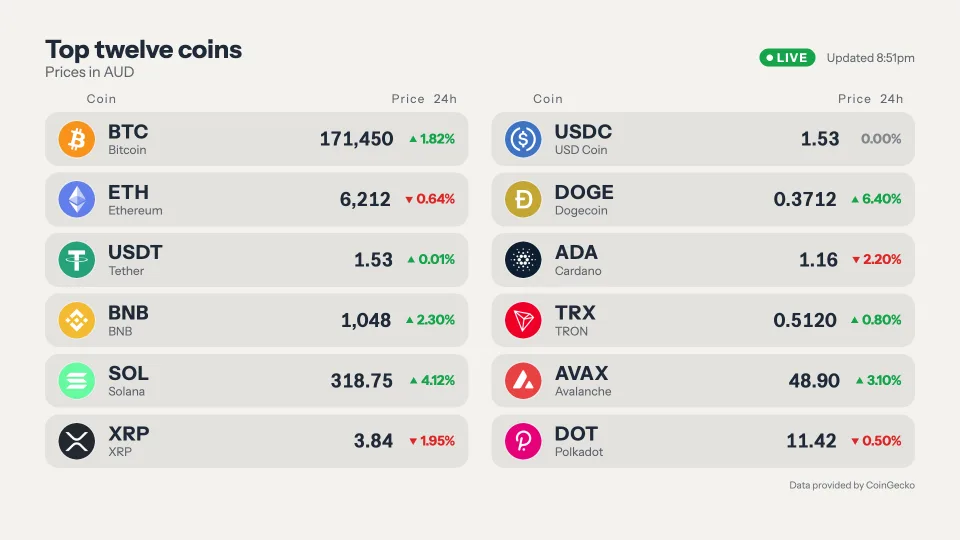 Top twelve coins board, Duotone design