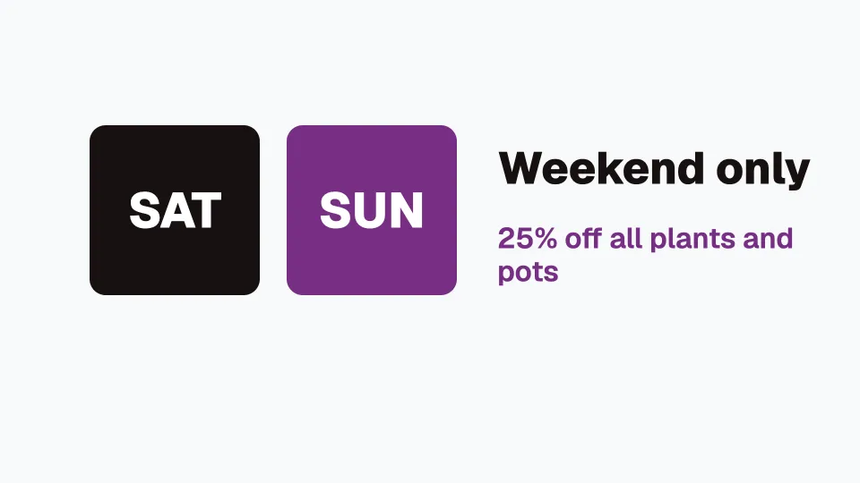 Weekend only