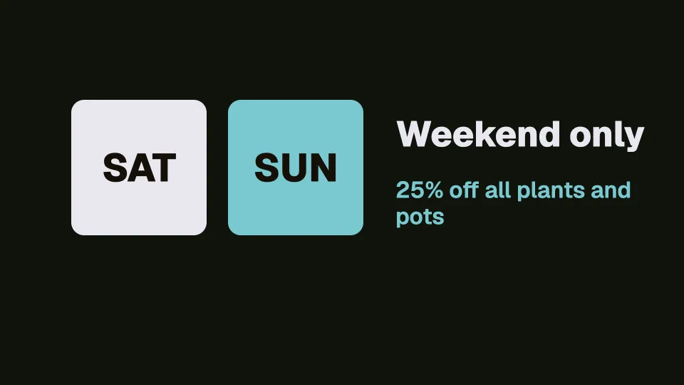 Weekend only